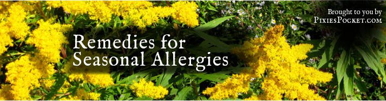 Seasonal Allergies Goldenrod Banner