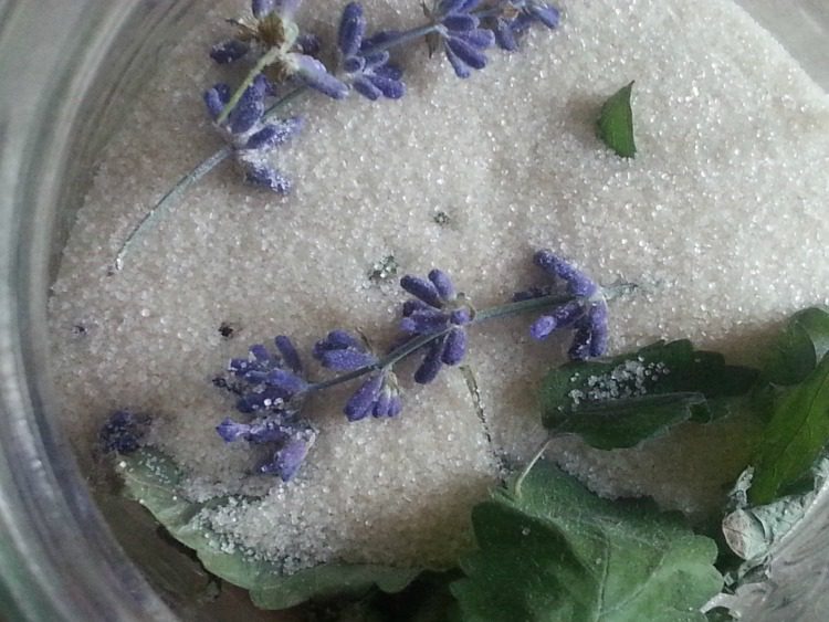 Lavender and Lemon Balm infused sugar as seen on "How to use lavender" from pixiespocket.com