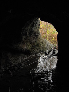 But this is from halfway in, looking toward the entrance in the first picture.  The rest of the cave was just dark, wet rock, mud on the ground, and angry cave crickets.  Denied the chance to battle a dragon, we explored the surrounding riverbank.