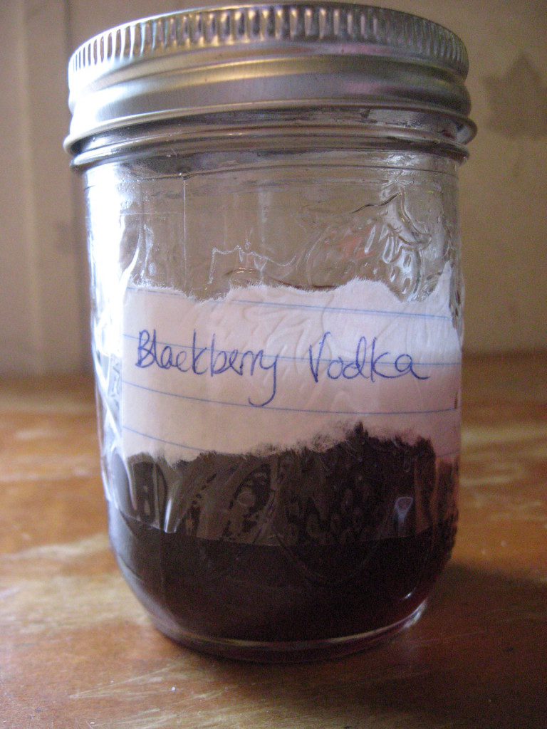 Blackberry cordial and syrup recipe from pixiespocket.com