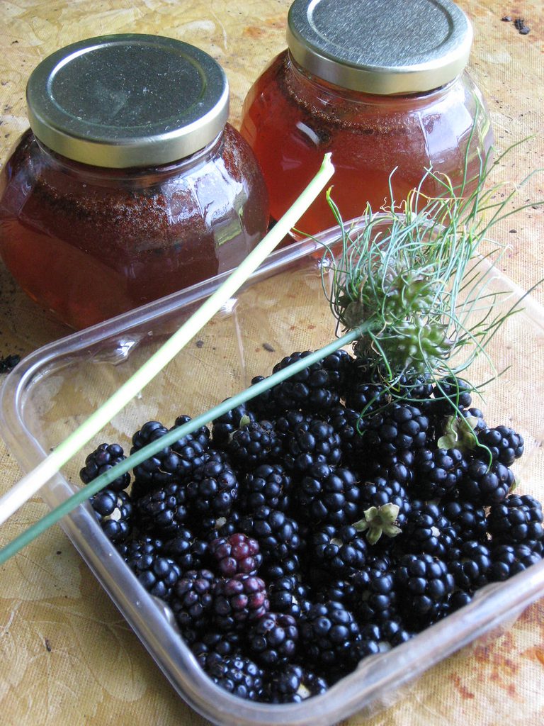 Blackberry Mead: A One-Gallon Recipe – Pixie's Pocket How Much Is A Gallon Of Blackberries