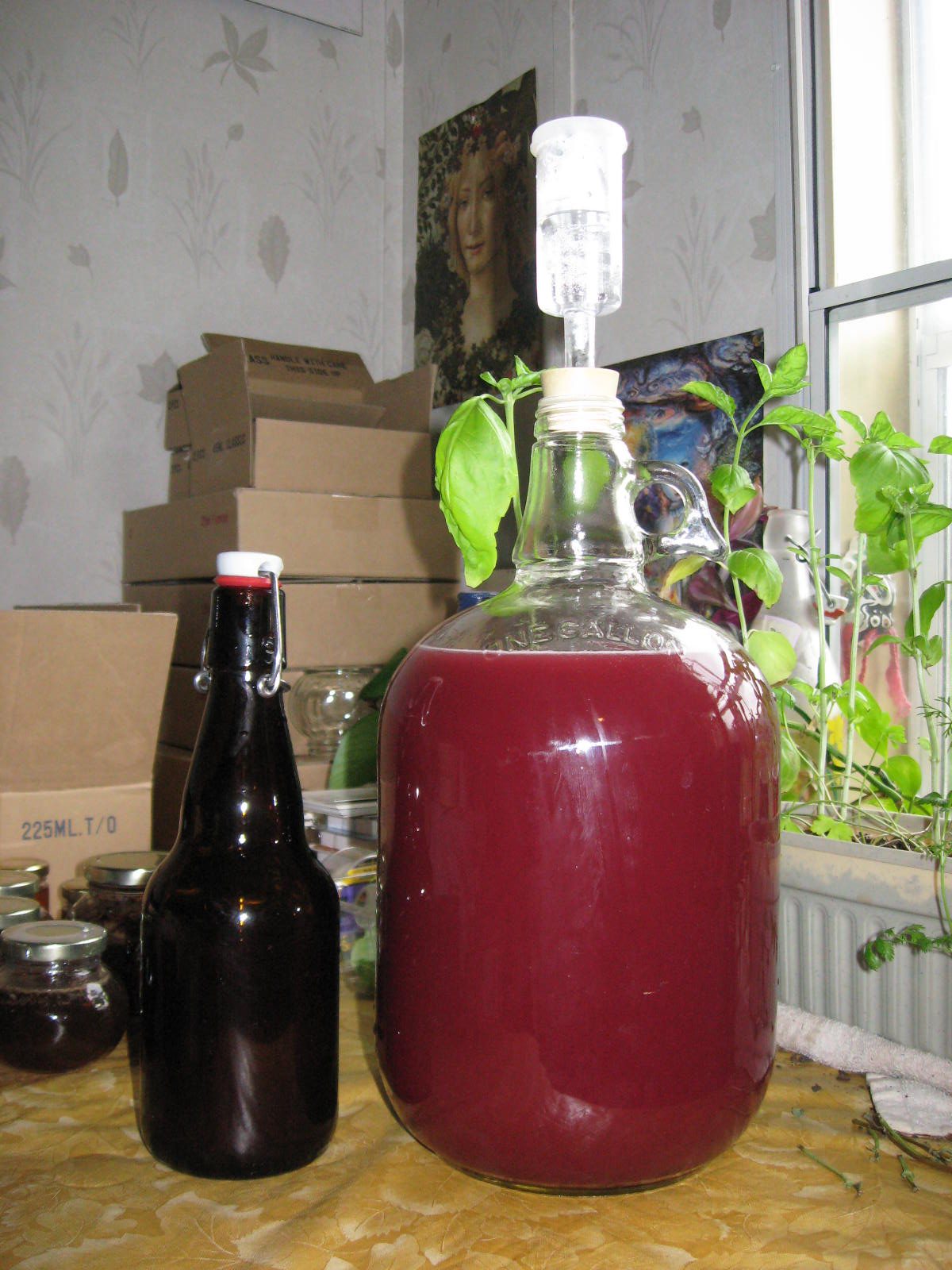 Blackberry Mead: A One-Gallon Recipe – Pixie's Pocket