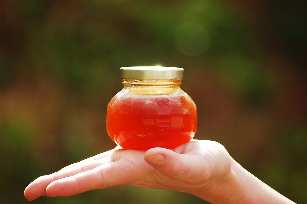 LET’S TALK ABOUT: SMEARING HONEY ON YOUR FACE - a diy natural beauty post from pixiespocket.com