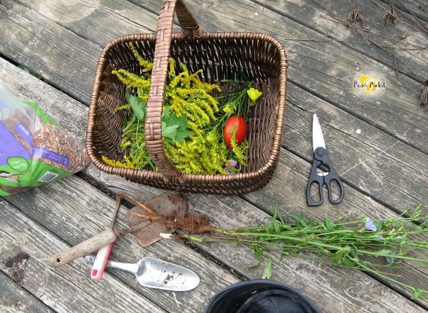 Basket o'goodies