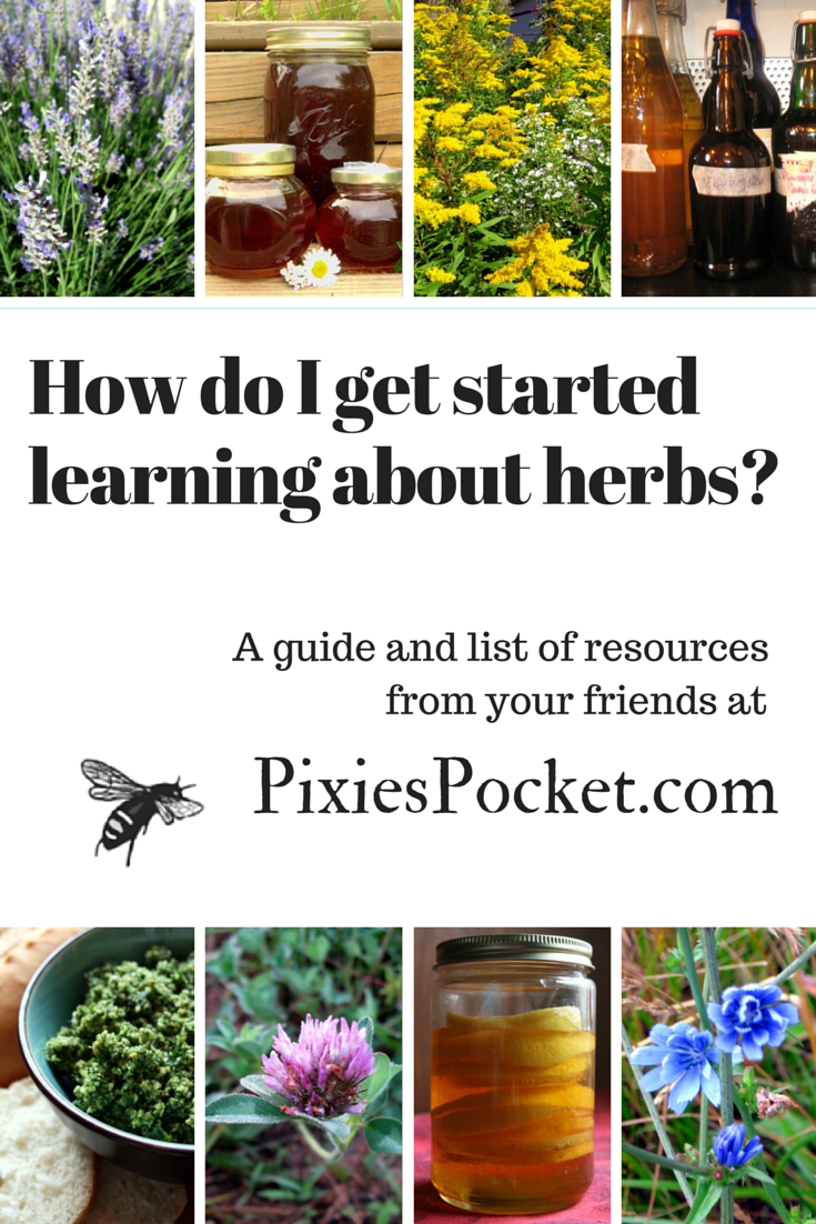 How do I learn about herbs? - a guide for those interested in learning about herbalism from pixiespocket.com 