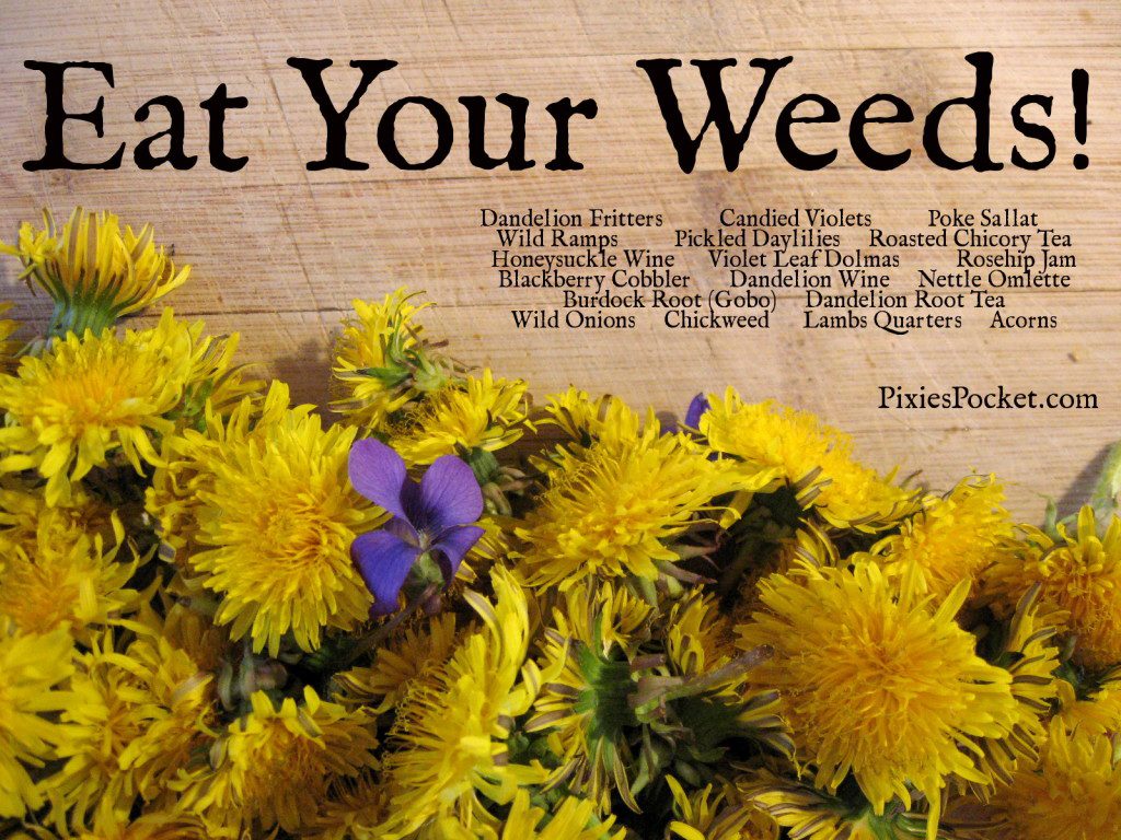 Eat your weeds and wildflowers - pixiespocket.com