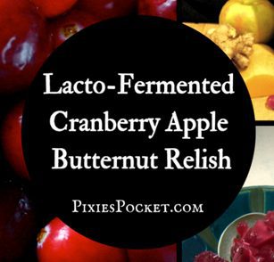 Lacto fermented Cranberry Apple Butternut Relish Pixie's Pocket