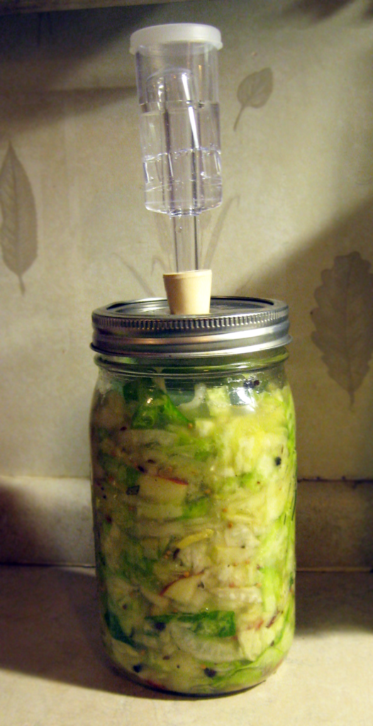 apple daikon radish fermenting