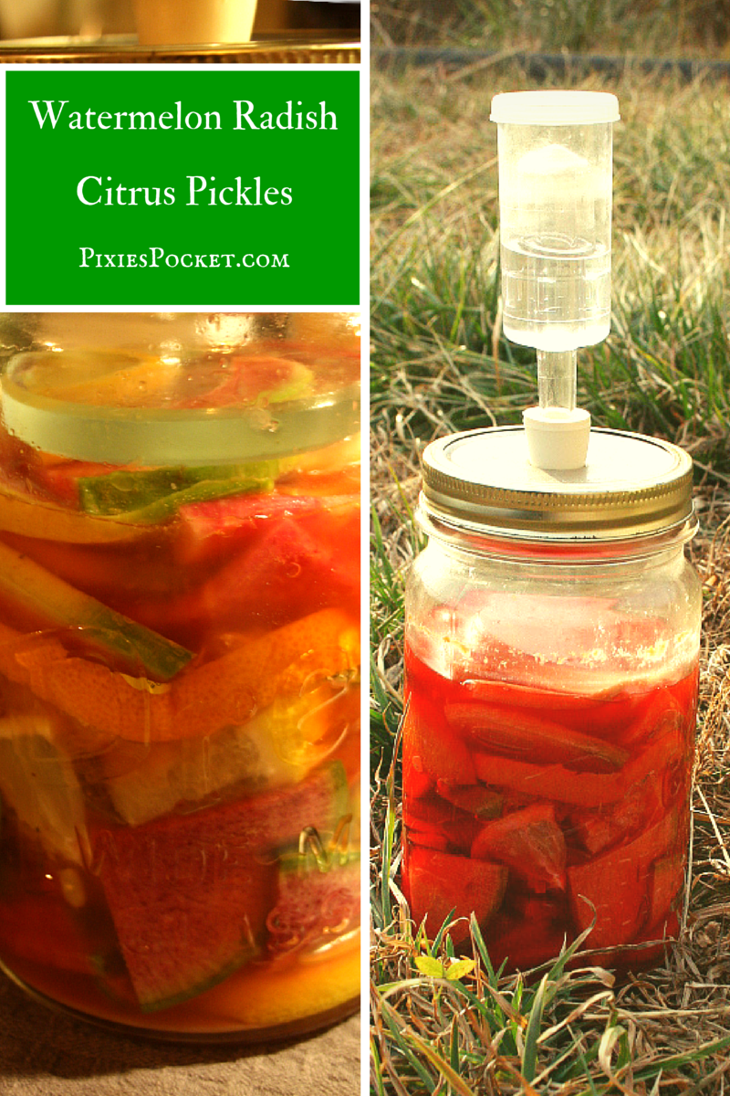Lacto-Fermented Watermelon Radish & Citrus Pickles