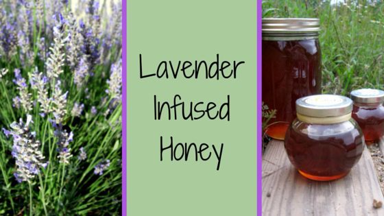 lavender infused honey 2