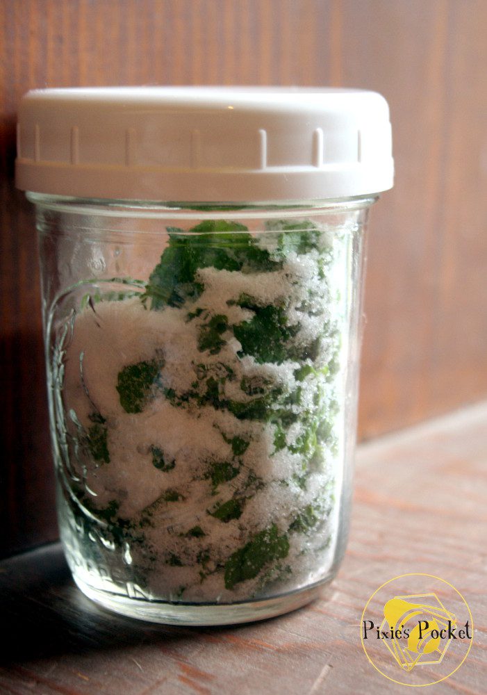 DIY Mint Infused Sugar from pixiespocket.com - great for cocktails, baking, or tea!