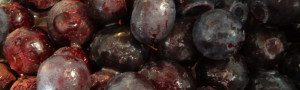 banner damson plum muscadine butter on pixiespocket.com