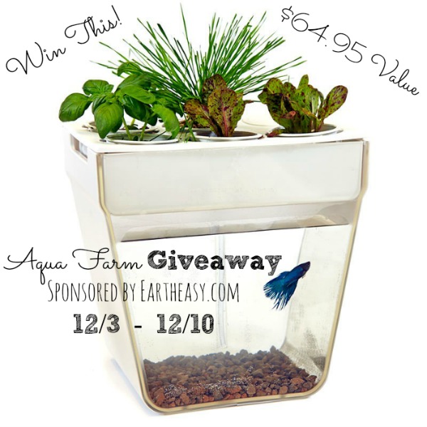 backtotheroots_aquafarm-fish-tank giveaway