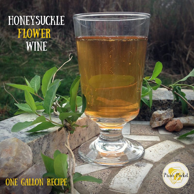 Honeysuckle Wine: one gallon recipe from pixiespocket.com