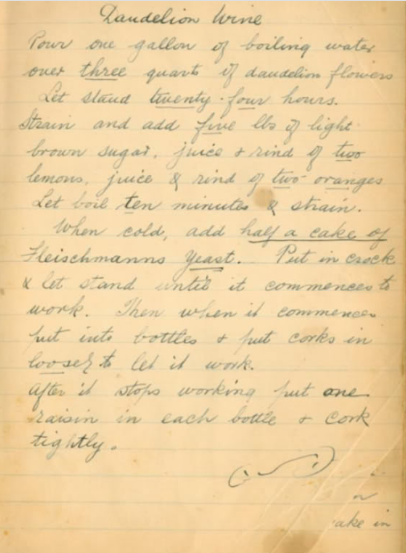 dandelion wine recipe - as seen on pixiespocket.com