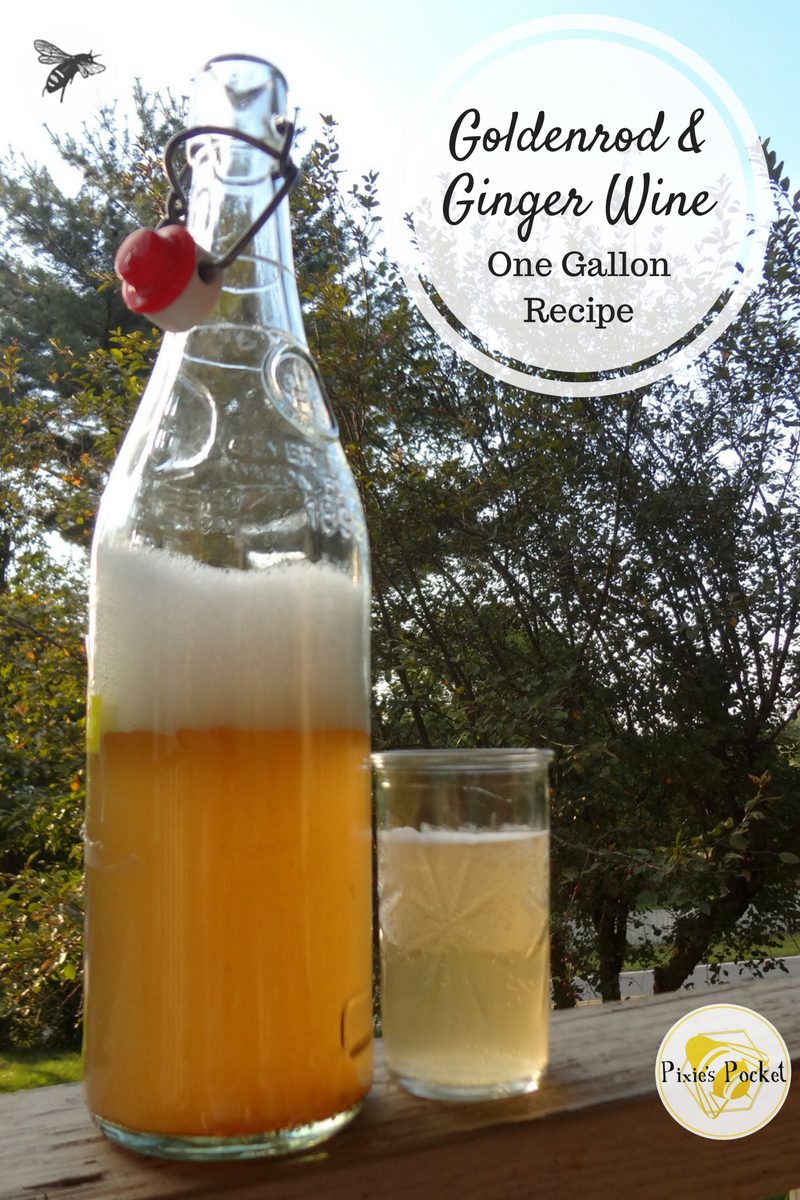 Goldenrod and Ginger Wine - one gallon recipes from pixiespocket.com