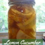 Lemon Cucumber Brined Pickles by pixiespocket.com