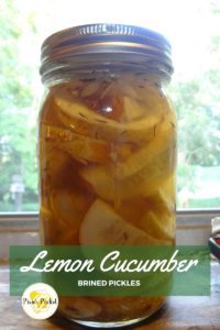 Lemon Cucumber Brined Pickles by pixiespocket.com