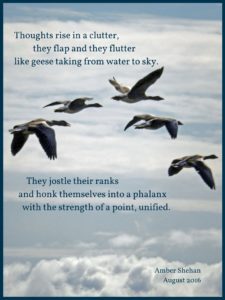 Geese poem by amber shehan of pixiespocket.com