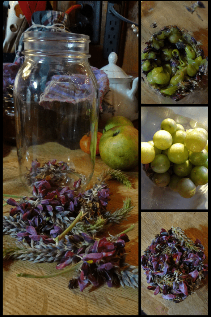 kudzu flower & muscadine wine