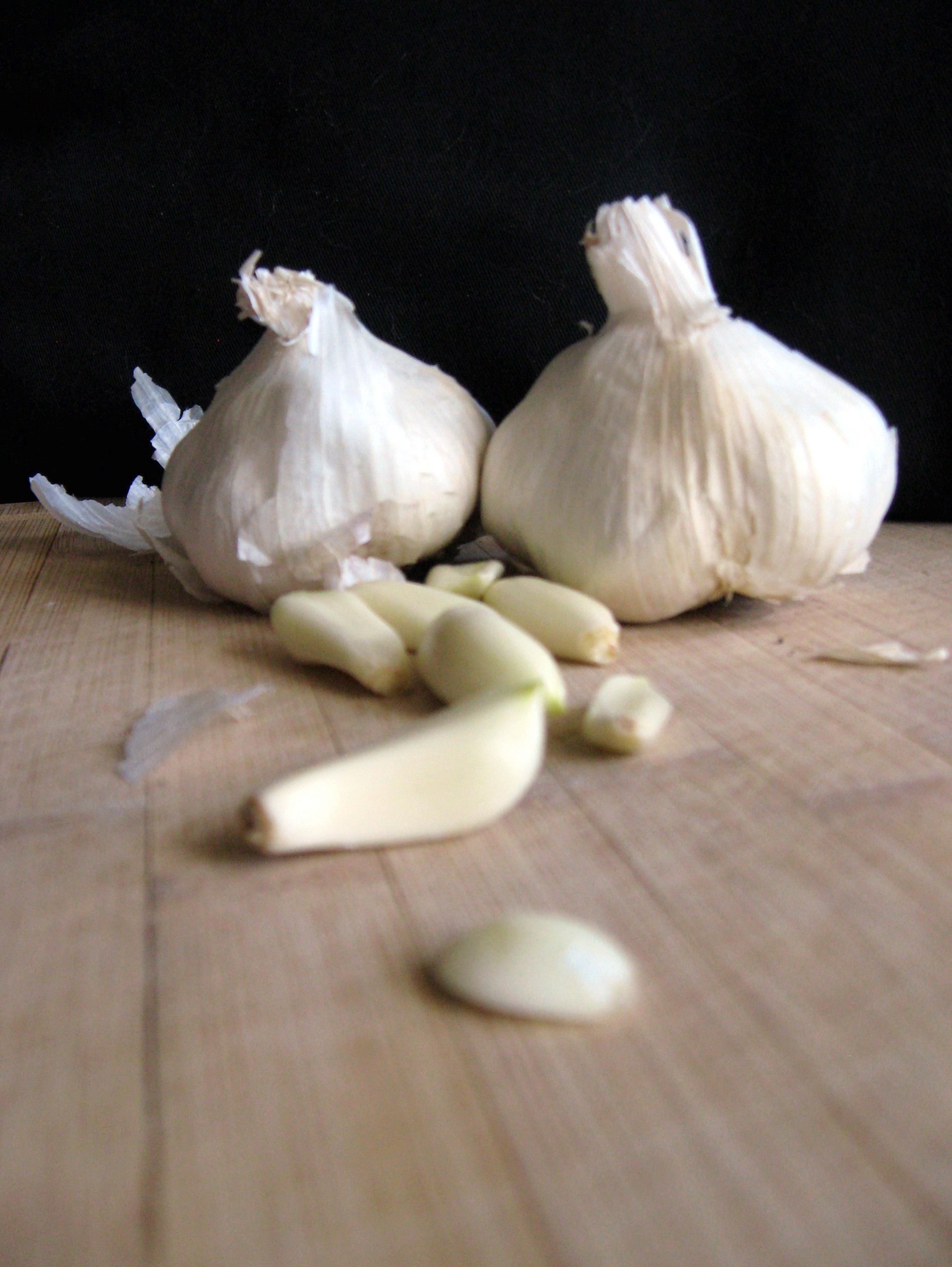 garlic-fullsize