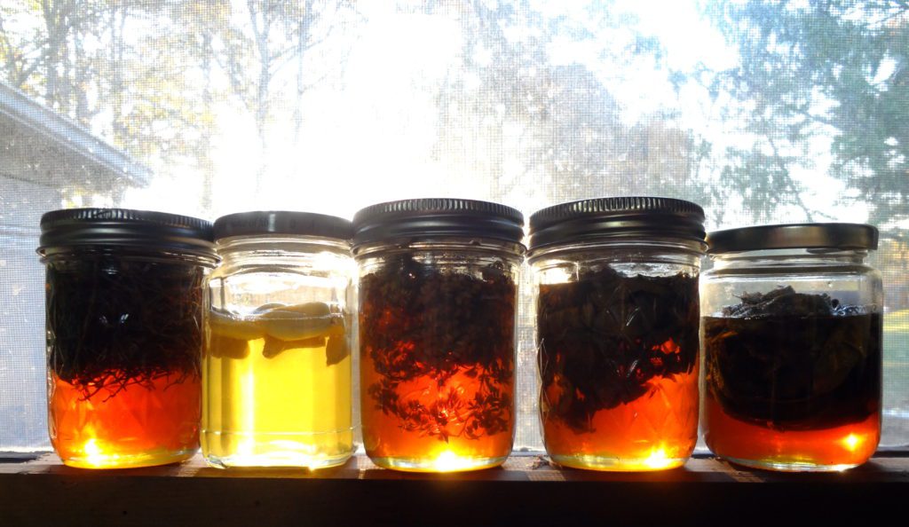 infusedhoney