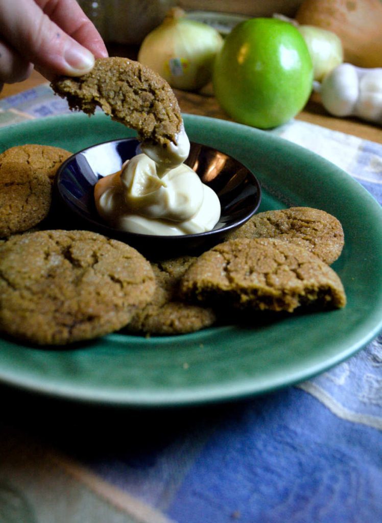 Bacon Fat Gingersnaps [and Honey Cream Cheese Dip] from Pixiespocket.com - a rich, delicious cookie with a smoky twist! Beautiful when paired with the heavenly honey cream cheese dip.