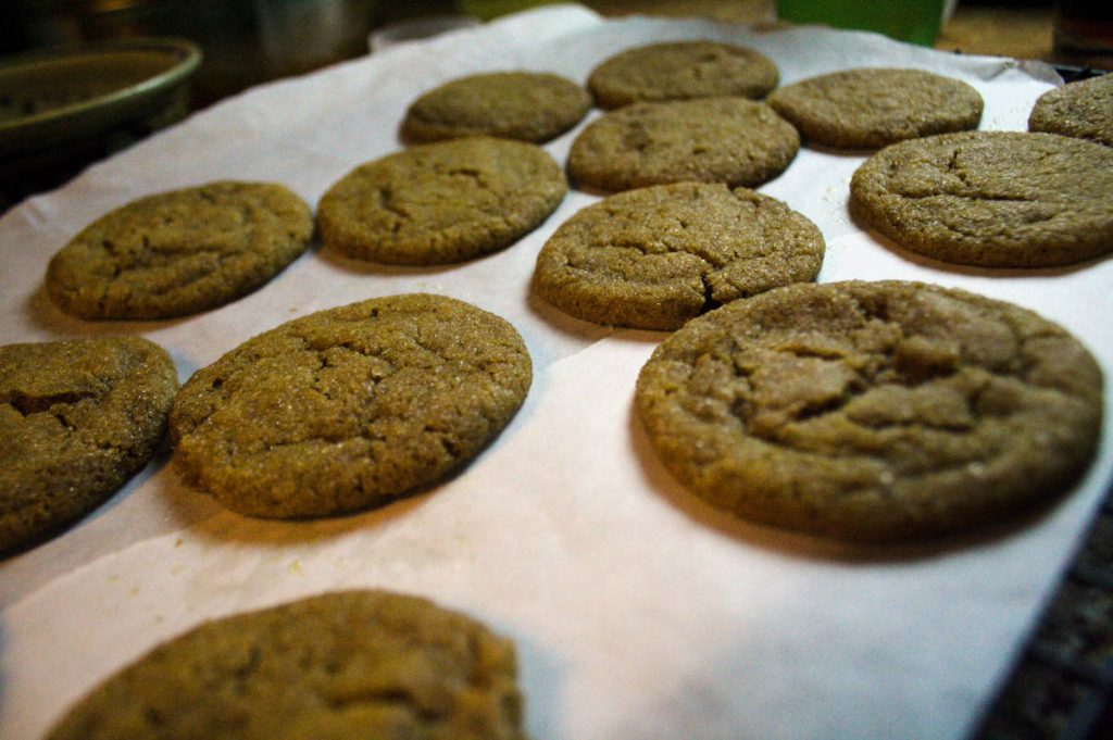 Bacon Fat Gingersnaps [and Honey Cream Cheese Dip] from Pixiespocket.com - a rich, delicious cookie with a smoky twist! Beautiful when paired with the heavenly honey cream cheese dip.