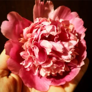 Rose and Peony Infused Honey Recipe