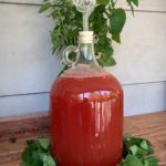 Strawberry and Lemon Balm Mead from Amber Shehan on Pixiespocket.com