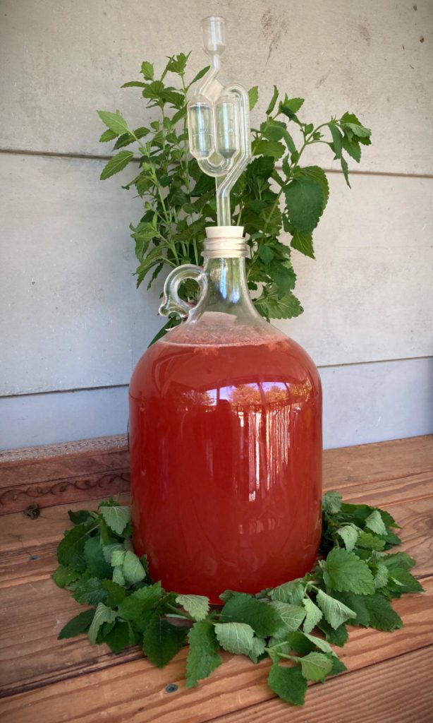 Strawberry and Lemon Balm Mead from Amber Shehan on Pixiespocket.com
