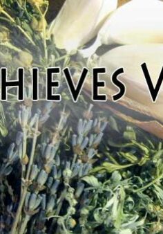 4thievesvinegarbanner