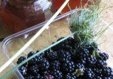 RECIPE BOX: ONE GALLON OF BLACKBERRY MEAD - pixiespocket.com