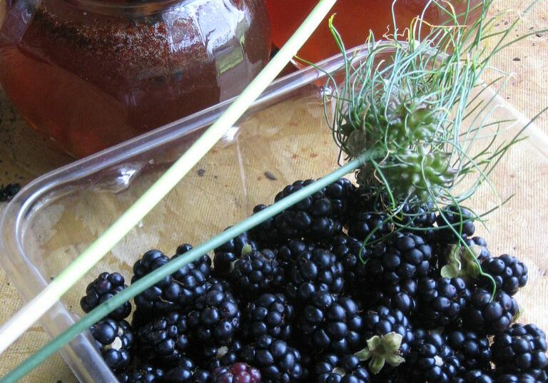 RECIPE BOX: ONE GALLON OF BLACKBERRY MEAD - pixiespocket.com