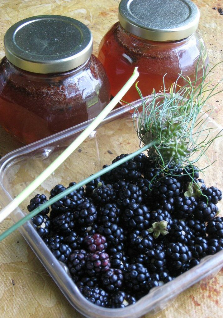 RECIPE BOX: ONE GALLON OF BLACKBERRY MEAD - pixiespocket.com