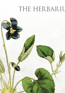 Herbarium-ad1_300x300