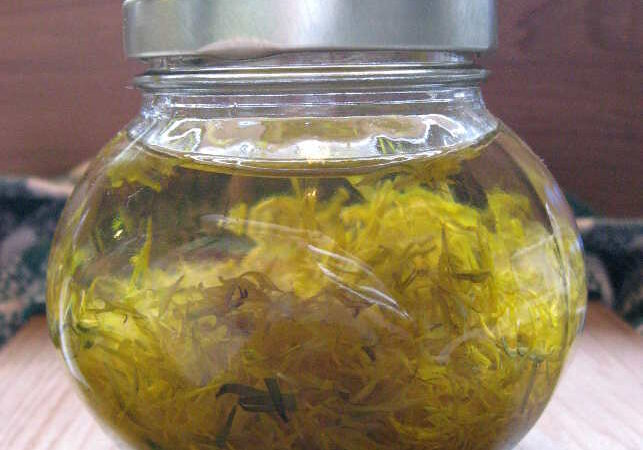 dandelion infusion