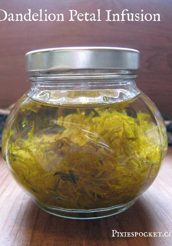 dandelion infusion