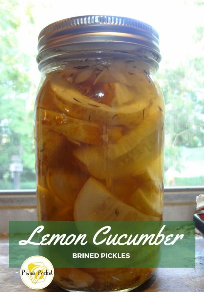 Lemon Cucumber Brined Pickles by pixiespocket.com