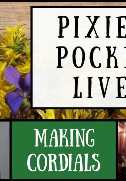pixies-pocket-live