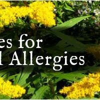 Seasonal Allergies Goldenrod Banner