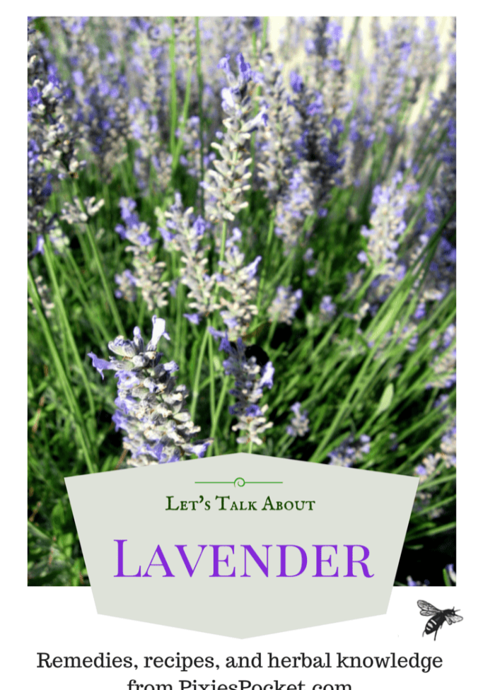 Lavender pixiespocket.com