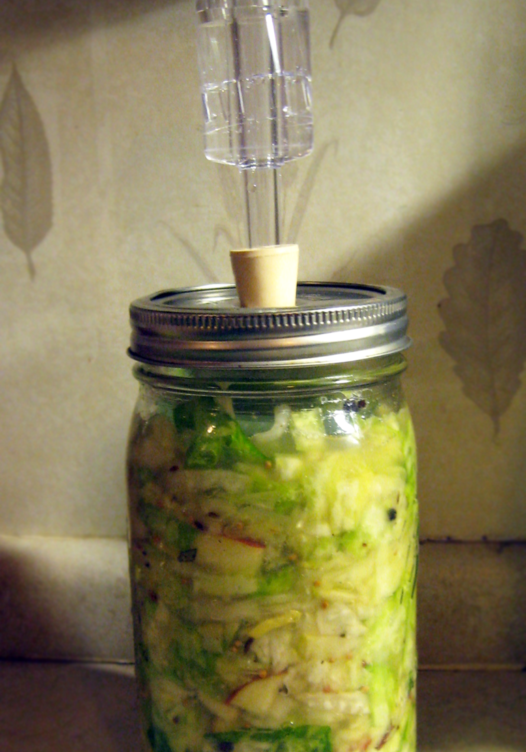 apple daikon radish fermenting