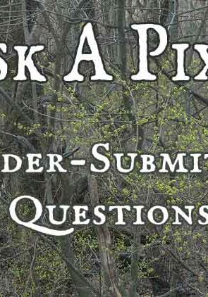 ask a pixie