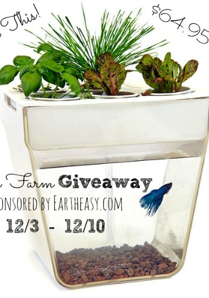 backtotheroots_aquafarm-fish-tank giveaway