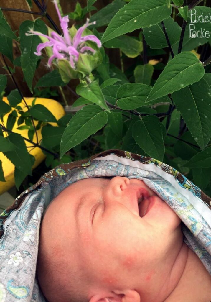 beebalmbaby