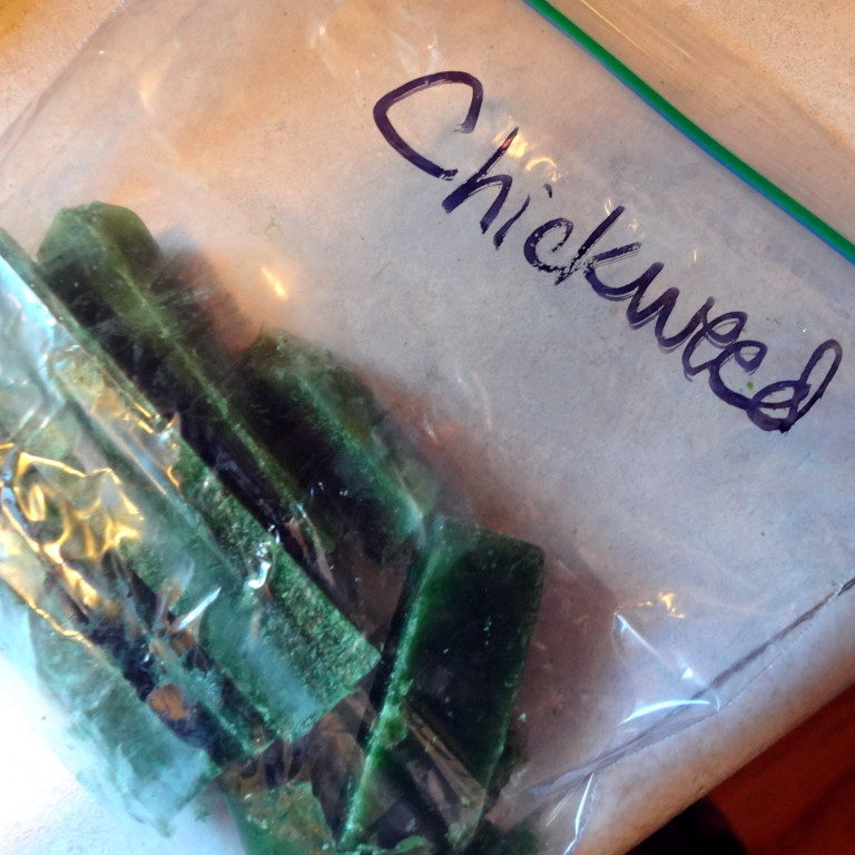 chickweed cubes