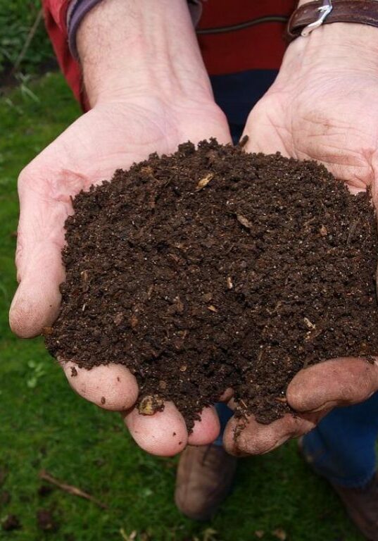 Make compost for your garden, it's easier than you think! Making compost for your garden will make sure that you have everything you need for healthy crops. You’ll need a mixture of 50/50 materials rich in nitrogen and carbon. Learn more about the basics of composting in this Pixie's Pocket guest post by Craig Holland.