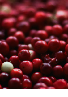 cranberry-cordial-header