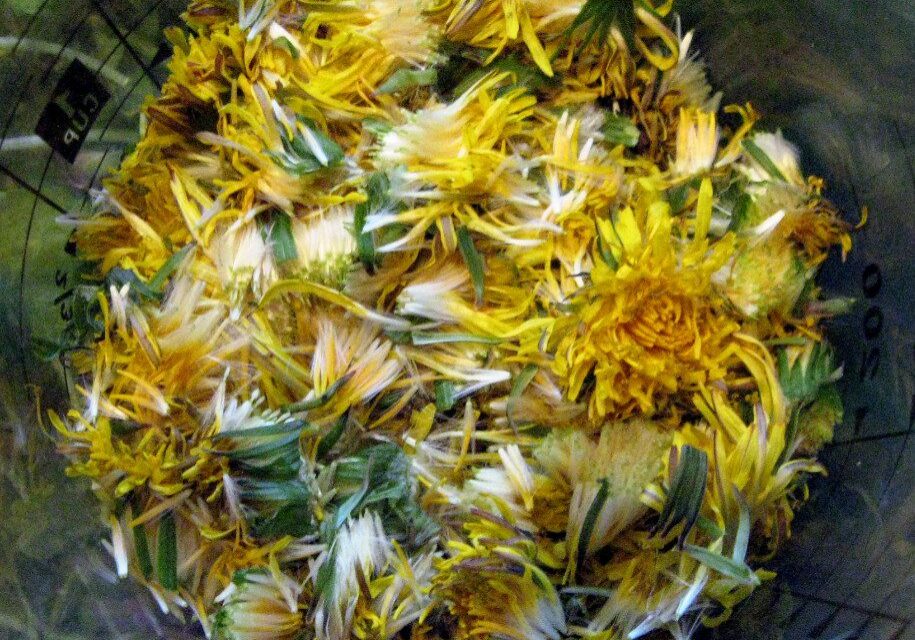 dandelion (mead)